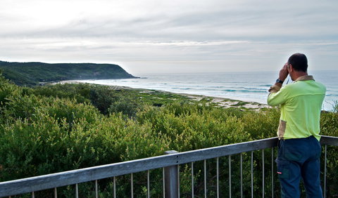 Tea Tree Picnic Area And Lookout - Tourism Gold Coast 2