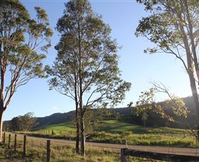 Tourist Drive 2 - Bucketts Way - Tourism Gold Coast 1