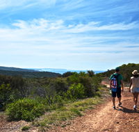 Moonee Beach trail - Tourism Gold Coast