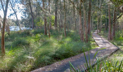 Anabranch Loop Track - Tourism Gold Coast 3