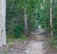 Delta track - Tourism Gold Coast
