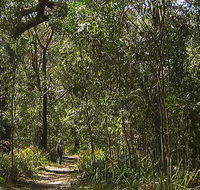 Sand track walk south - Tourism Gold Coast