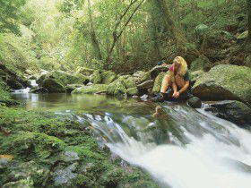 Dave's Creek Circuit - Tourism Gold Coast 0