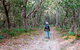 Narrawallee Inlet Walking Track - thumb 1