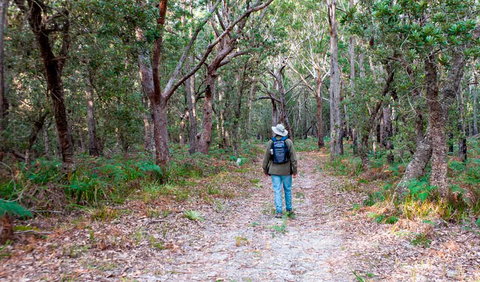 Narrawallee Inlet Walking Track - Tourism Gold Coast 1