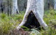 Narrawallee Inlet Walking Track - thumb 2