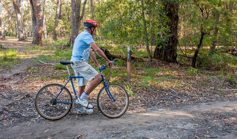 Bendalong NSW Tourism Gold Coast