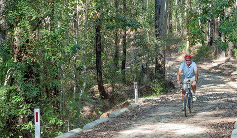 Monument Beach Ride From Bendalong - Tourism Gold Coast 2