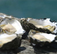 Jim Wilds Oyster Service - Tourism Gold Coast