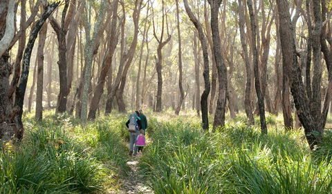 Nerindillah Lagoon Walking Track - Tourism Gold Coast 3