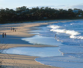 Mollymook Beach - Tourism Gold Coast 1