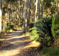 Square Head track 2 - Gold Coast