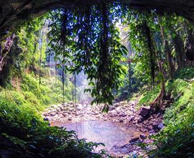 Dorrigo Rainforest Centre - Tourism Gold Coast 1