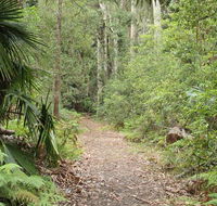 Lake walking track - Gold Coast