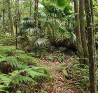 Durras Lake Discovery trail - Gold Coast