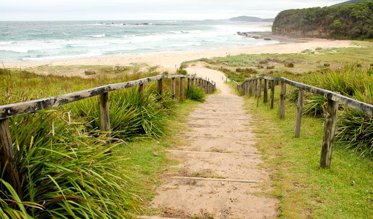 Pretty Beach NSW Tourism Gold Coast