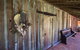 Ormiston House - thumb 2