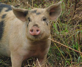 Bent On Food Cookery School - Gold Coast 5
