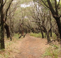 Pretty Beach to Snapper Point walking track - Tourism Gold Coast