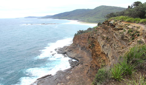 Pretty Beach To Snapper Point Walking Track - Tourism Gold Coast 1