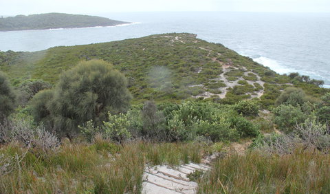 Pretty Beach To Snapper Point Walking Track - Tourism Gold Coast 2