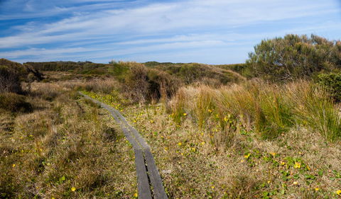 Murramarang Aboriginal Area - Tourism Gold Coast 1
