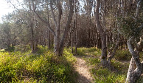 Murramarang Aboriginal Area Walking Track - Tourism Gold Coast 1
