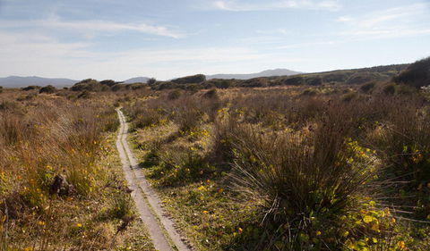 Murramarang Aboriginal Area Walking Track - Tourism Gold Coast 2