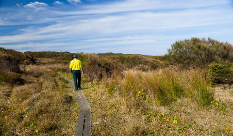 Murramarang Aboriginal Area Walking Track - Tourism Gold Coast 3