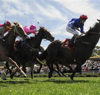 Moruya Racecourse - Tourism Gold Coast