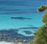 Jervis Bay Marine Park - Tourism Gold Coast