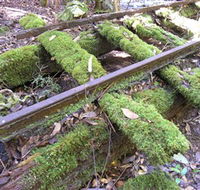 Wootton Historical Railway Walk - Gold Coast