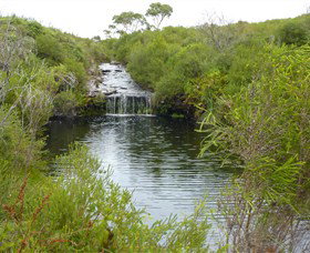 Booderee National Park: Green Patch And Telegraph Creek Walking Tracks - Tourism Gold Coast 0