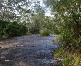 Booderee National Park: Green Patch And Telegraph Creek Walking Tracks - Tourism Gold Coast 1