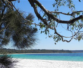 Booderee National Park: Green Patch And Telegraph Creek Walking Tracks - Tourism Gold Coast 6