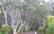 Booderee National Park: Munyunga Waraga Dhugan Walking Trail - thumb 3