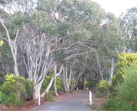 Booderee National Park: Munyunga Waraga Dhugan Walking Trail - Tourism Gold Coast 3