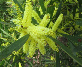 Booderee National Park: Munyunga Waraga Dhugan Walking Trail - Tourism Gold Coast 1