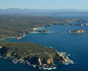 Banksia Walk - Burrewarra Point - Tourism Gold Coast 0