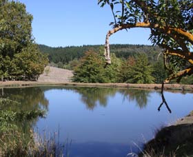 Oak Grove Walk, Balingup - Tourism Gold Coast 0