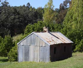 Oak Grove Walk, Balingup - Tourism Gold Coast 1