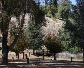 Oak Grove Walk, Balingup - Tourism Gold Coast 2