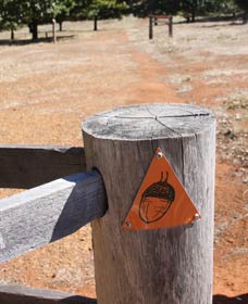 Oak Grove Walk, Balingup - Tourism Gold Coast 3