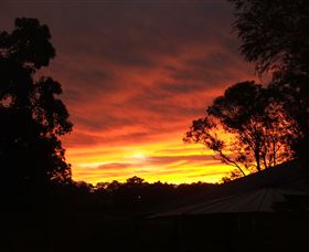 Tinonee Museum - Gold Coast 0