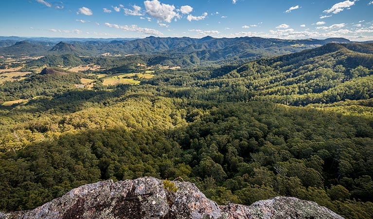 Lansdowne Forest ACT Tourism Gold Coast