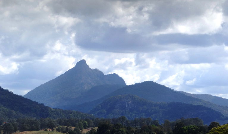 Cedar Creek ACT Tourism Gold Coast