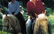 Clarendon Forest Retreat Horse Riding - thumb 2