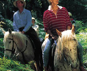 Clarendon Forest Retreat Horse Riding - Tourism Gold Coast 2