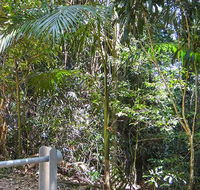 Goorgana walking track - Tourism Gold Coast