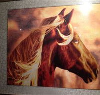 Silk Art Gallery - Gold Coast